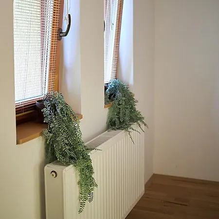 Klaudia Vendeghaz 3*